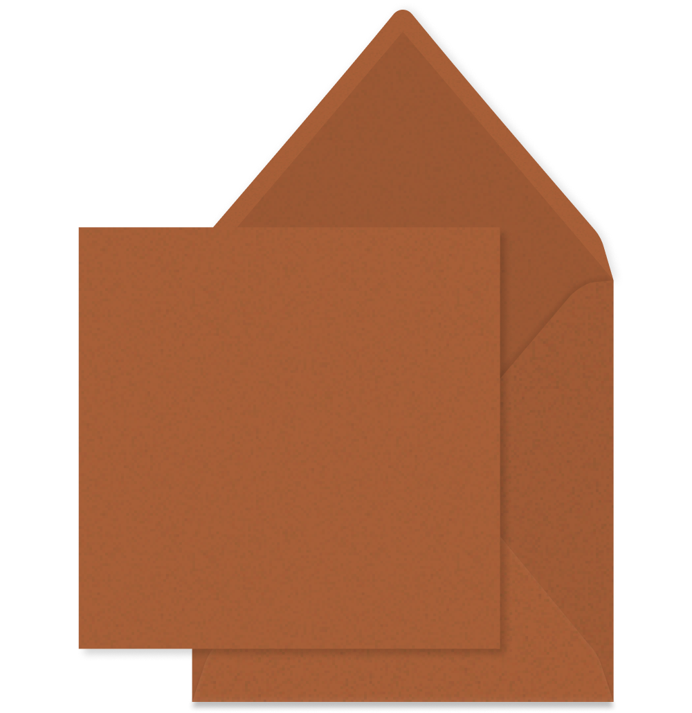 Metalic brons envelop