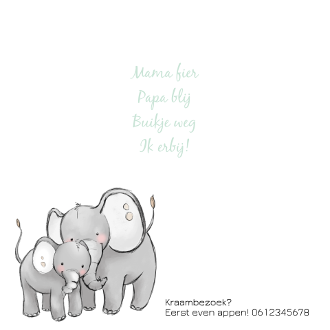 Geboortekaartje met getekende olifant en confetti