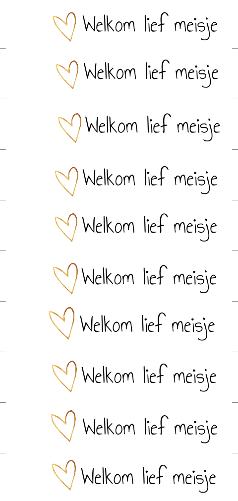 DIY label Welkom Lief Meisje