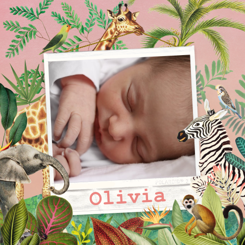 Jungledieren geboortekaartje met foto meisje