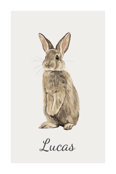 Lief babykaartje met illustratie van konijn