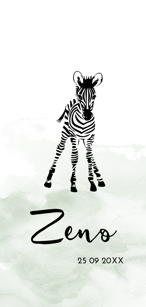 Hippe babykaart met zebra