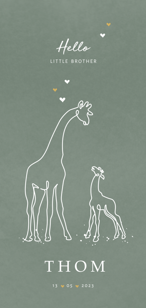 Lief geboortekaartje voor zoontje met girafjes
