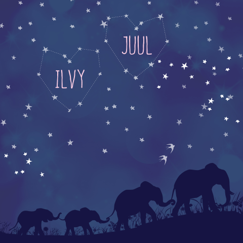Romantisch geboortekaartje met olifanten en sterrenhemel