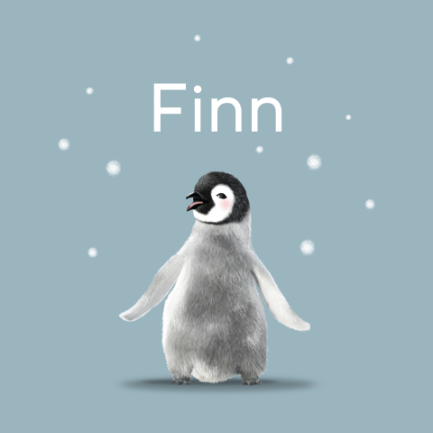 Hip geboortekaartje voor jongen met pinguïn in de sneeuw
