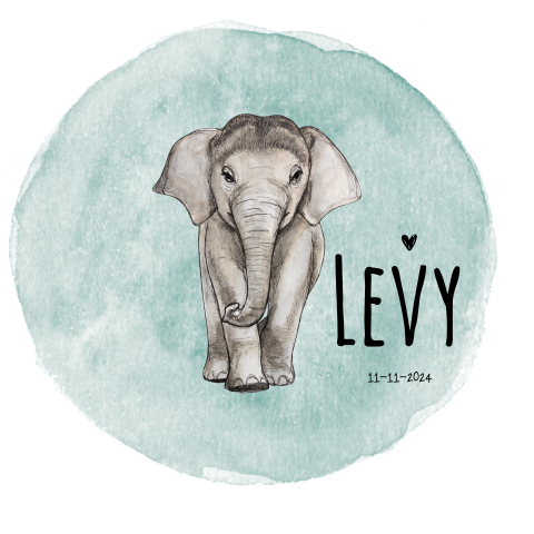 Trendy geboortekaart voor een jongen met waterverf illustratie olifant
