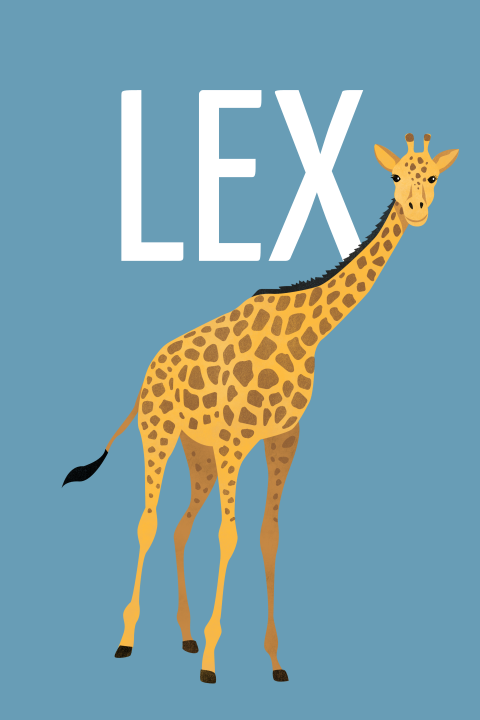 Stoer geboortekaartje voor jongen met illustratie giraf op blauw