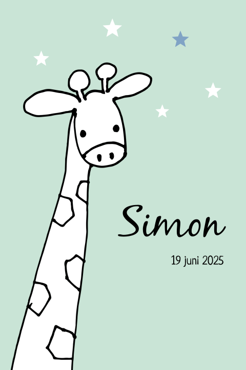Hip geboortekaartje voor jongetje met getekende giraffe