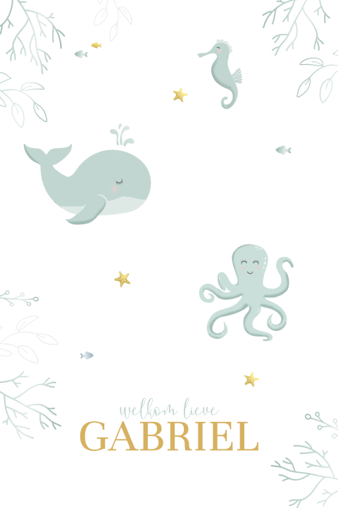 Uniek geboortekaartje voor jongen met illustraties van zeedieren