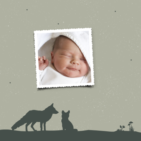 Stoer geboortekaartje met silhouet van vosjes onder sterren hemel