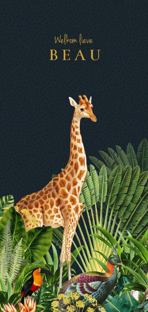 Stoer geboortekaartje met jungle dieren zoals giraffe en zebra