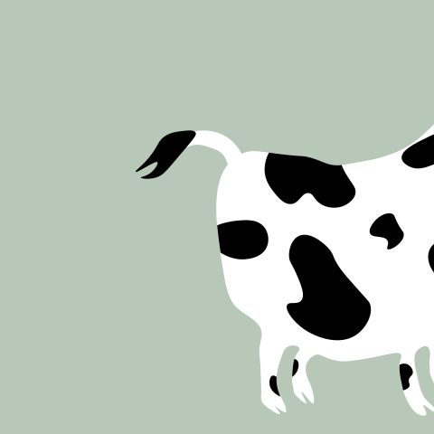 Groen geboortekaartje met koeien voor een meisje