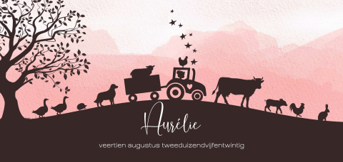 Stoer geboortekaartje voor meisje met silhouet van boerderijdieren
