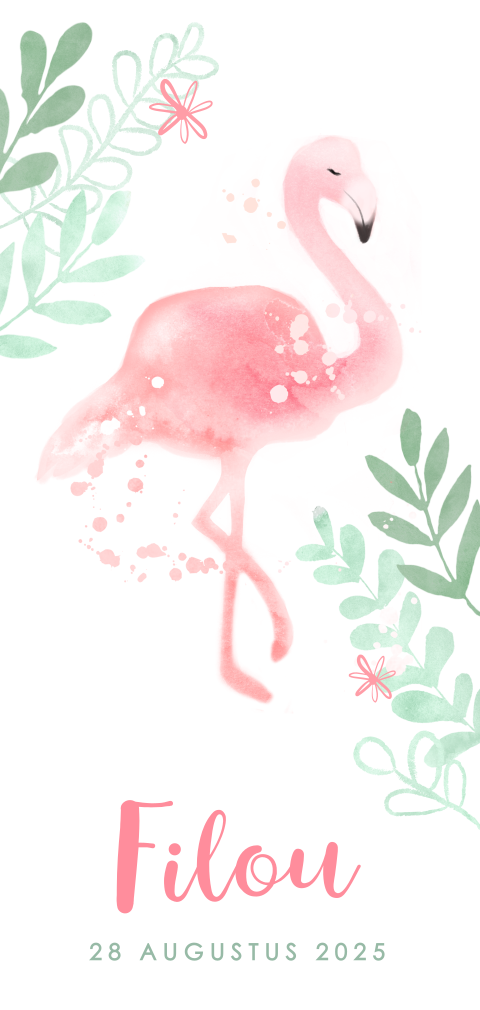 Hip geboortekaartje met flamingo