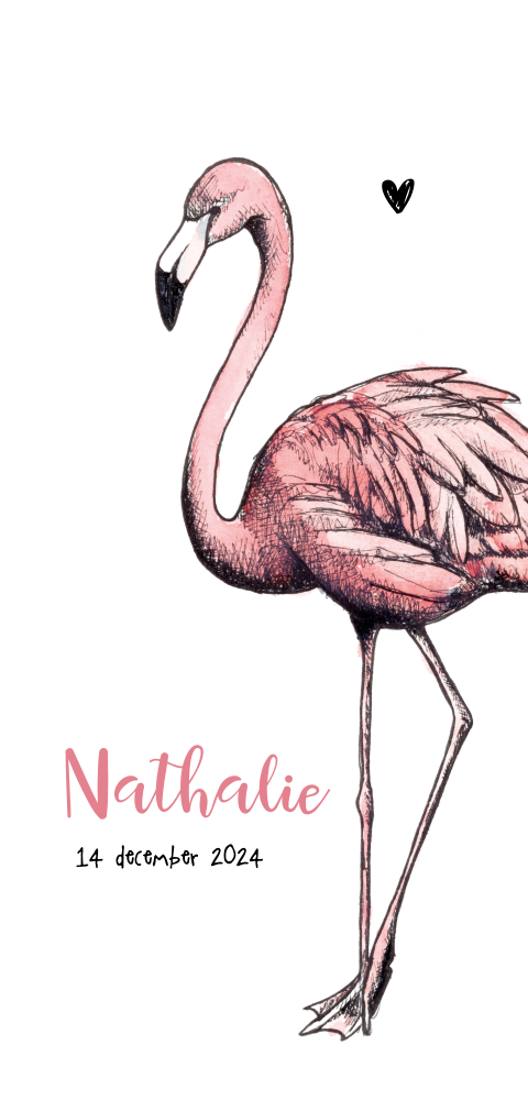 Hip geboortekaartje voor meisje met getekende flamingo