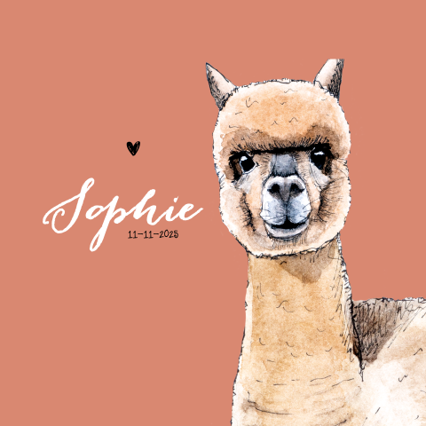 Trendy geboortekaartje voor meisje met hippe alpaca tekening
