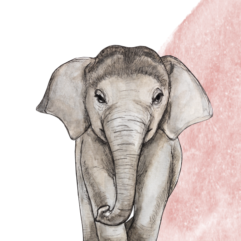 Vrolijk en hip geboortekaartje voor meisje met watercolour olifant