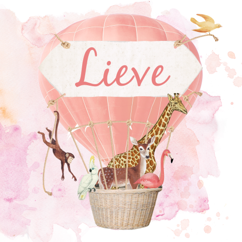 Uniek geboortekaartje voor meisje met een luchtballon met dieren