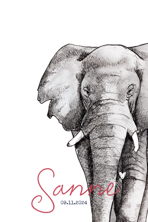 Stoer geboortekaartje voor meisje met tekening olifant