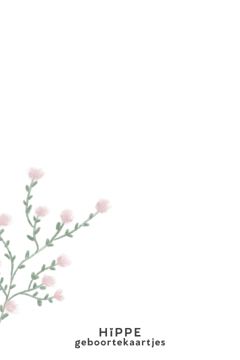 Lief en rustig geboortekaartje met geschilderde takjes en roze bloemen