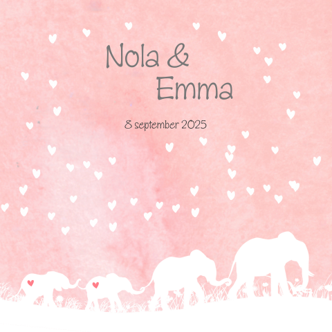 Lief geboortekaartje voor meisjes tweeling met silhouet van olifantjes