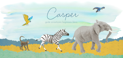 Watercolour geboortekaartje met safari-dieren