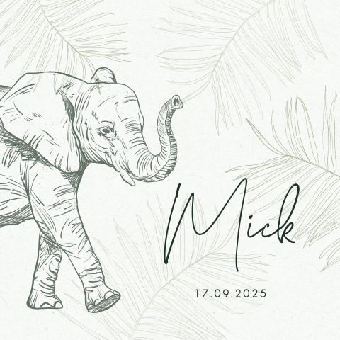 Avontuurlijke jungle geboortekaart jongen met olifantje