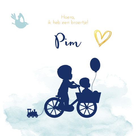 Hip geboortekaartje voor jongen met silhouet broertjes op de fiets