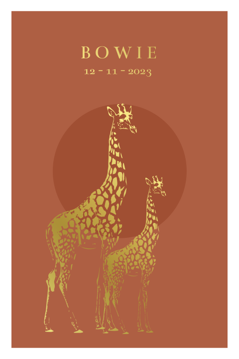 Geboortekaartje voor zoontje met goudfolie giraffes