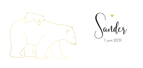 Hip geboortekaartje voor jongen met goudfolie ijsberen