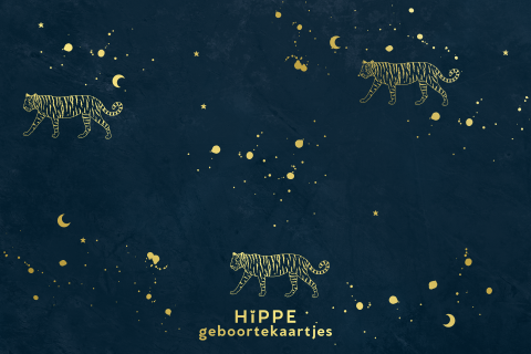 Goudfolie geboortekaartje jongen met tijgers, sterren en maan