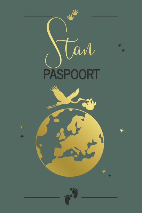 Hip goudfolie paspoort geboortekaartje voor jongen met wereldbol
