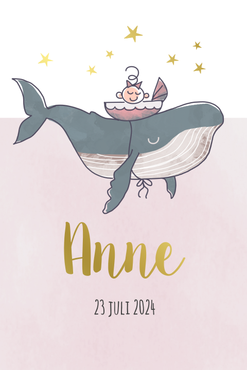 Geboortekaartje met meisje in wieg bovenop een walvis in roze zee