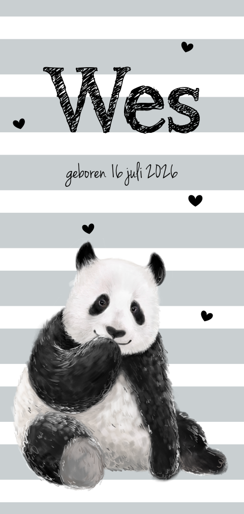 Langwerpig geboortekaartje panda