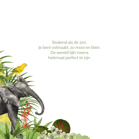 Tropisch geboortekaartje met jungledieren