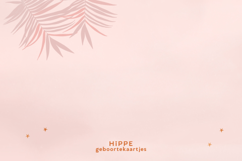 Hip koperfolie geboortekaartje voor meisje met olifant op roze