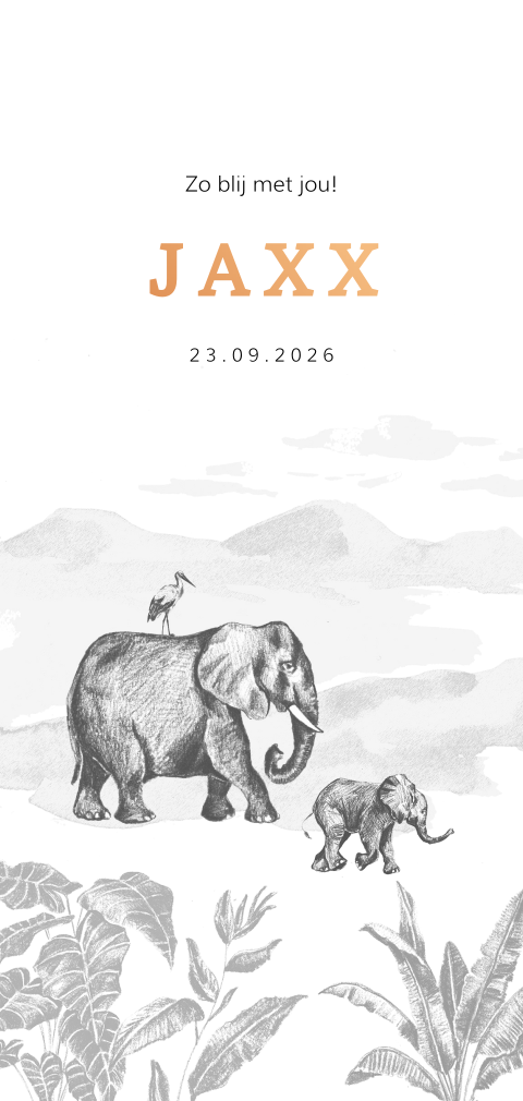 Zwart-wit geboortekaartje voor zoontje met olifantjes en koperfolie