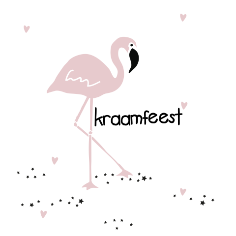 Babyborrel kaartje met flamingo