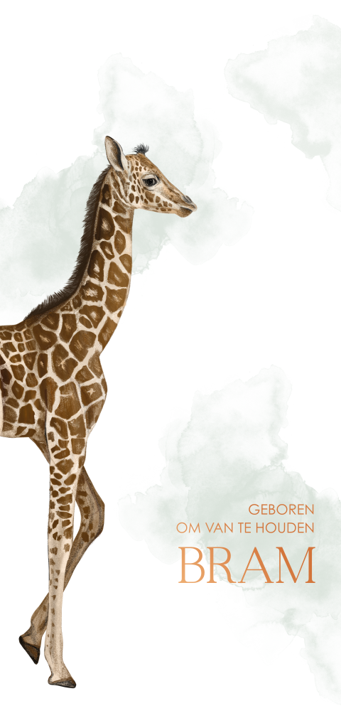 Watercolour geboortekaartje jongen met giraffe en koperfolie