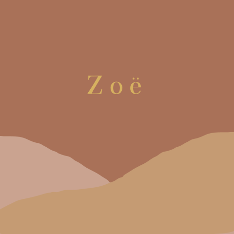 Een minimalistisch geboortekaartje met zachte pastel en aardetinten