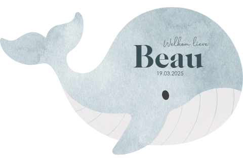 Origineel unisex babykaartje in de vorm van een blauwe walvis