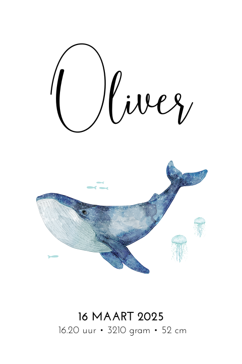 Trendy poster met walvis en visjes in watercolor