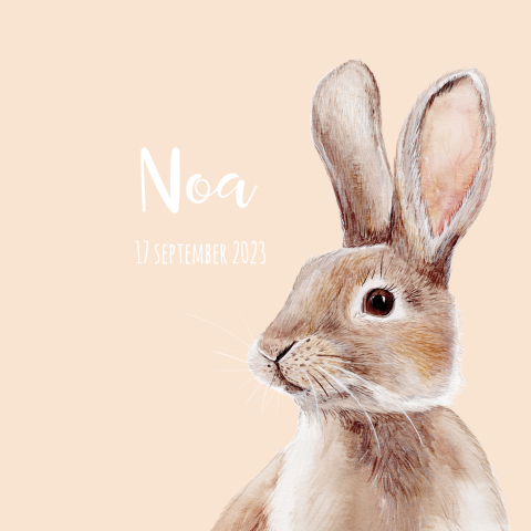 Poster met tekening van konijn op peach