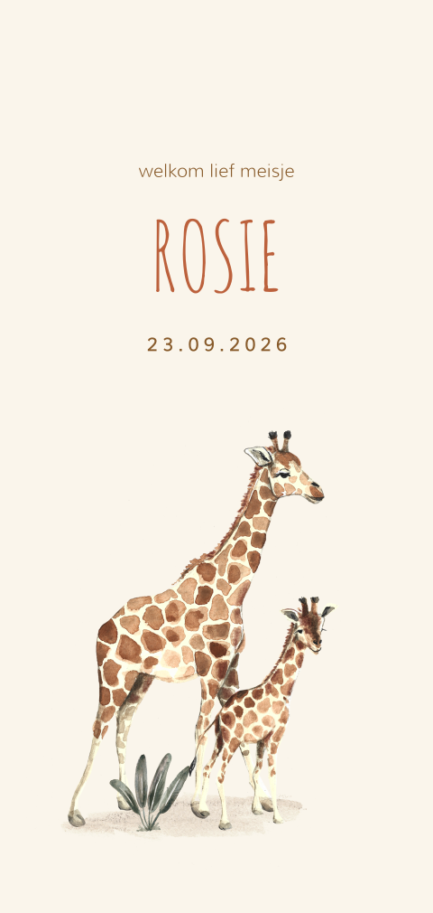 Geboortekaart dochter met illustratie van giraffes en ronde hoeken