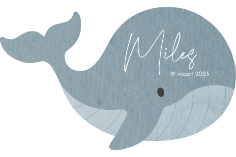 Bijzonder babykaartje in de vorm van een blauwe walvis