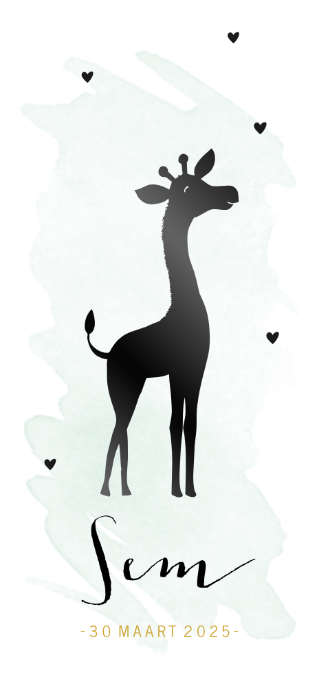 Zwartfolie geboortekaartje voor jongen met giraf