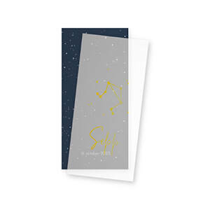 Hip kalkpapier geboortekaartje voor jongen met goudfolie sterrenbeeld