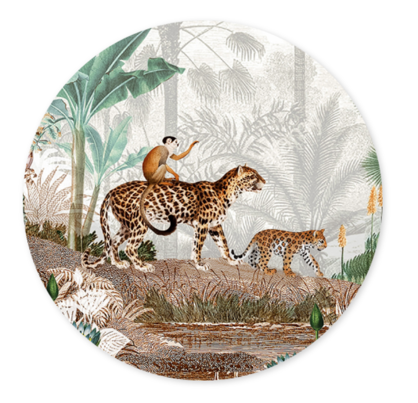 Sluitsticker trendy illustratie jungle dieren